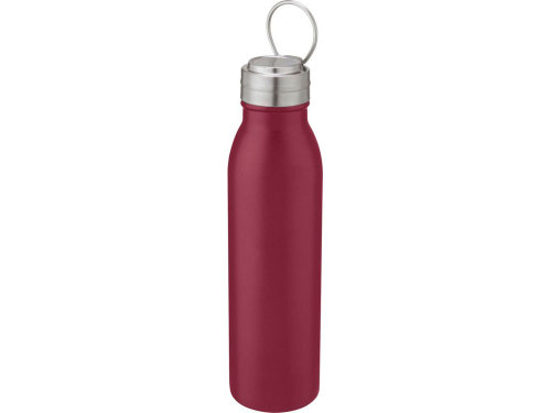Harper, спортивная бутылка из нержавеющей стали объемом 700 мл с металлической петлей, красный