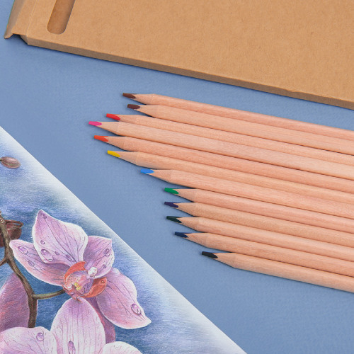 Набор цветных карандашей KINDERLINE middlel,12 цветов, дерево, картон (бежевый)