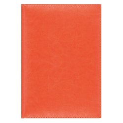 Ежедневник недатированный Birmingham 145х205 мм, без календаря, без лого оранжевый