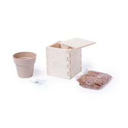 Горшочек для выращивания мяты с семенами (6-8шт) в коробке MERIN, биоразлагаемый материал, дерево (бежевый)